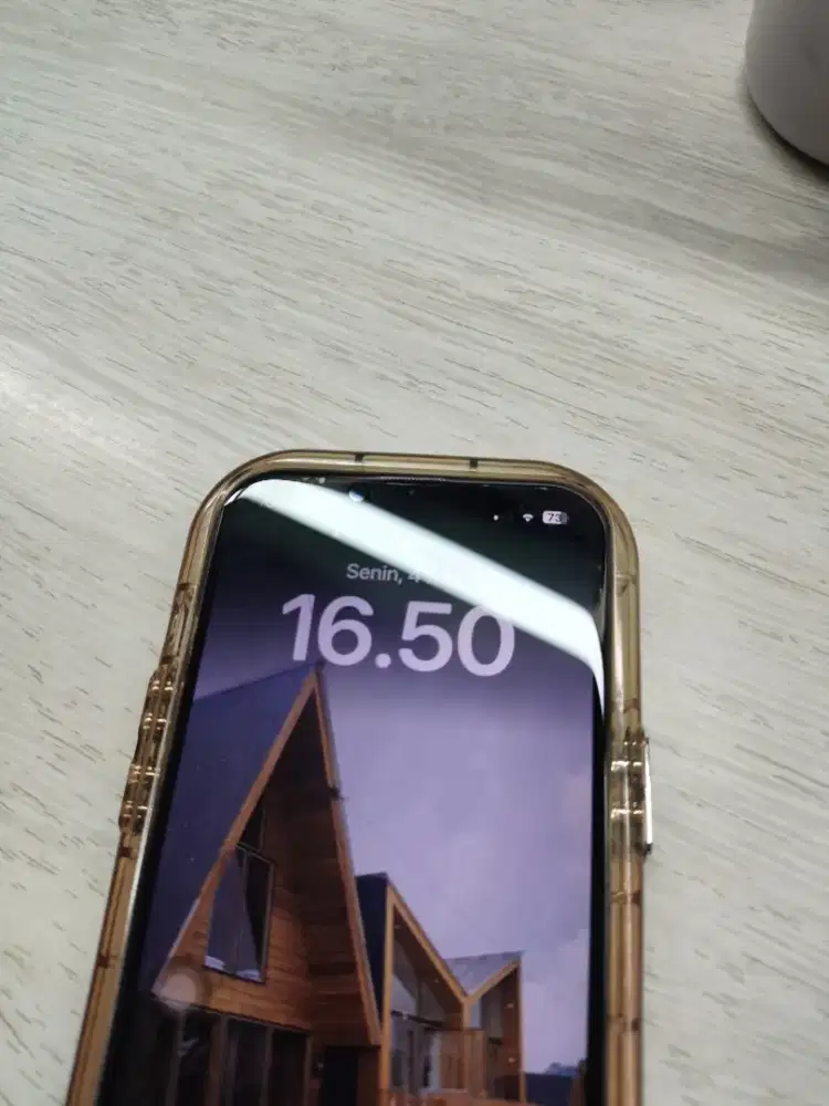 Iphone 12 biasa