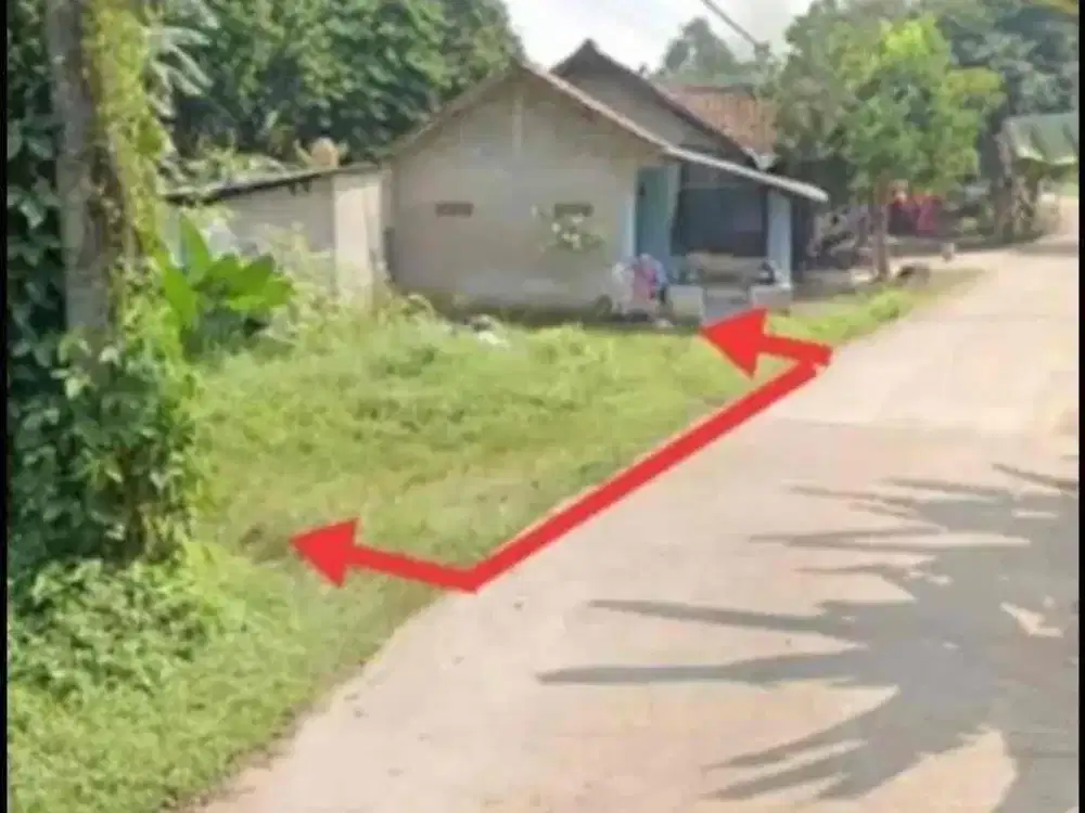 TANAH MURAH LETAK STRATEGIS DI GUNUNG SINDUR KABUPATEN BOGOR