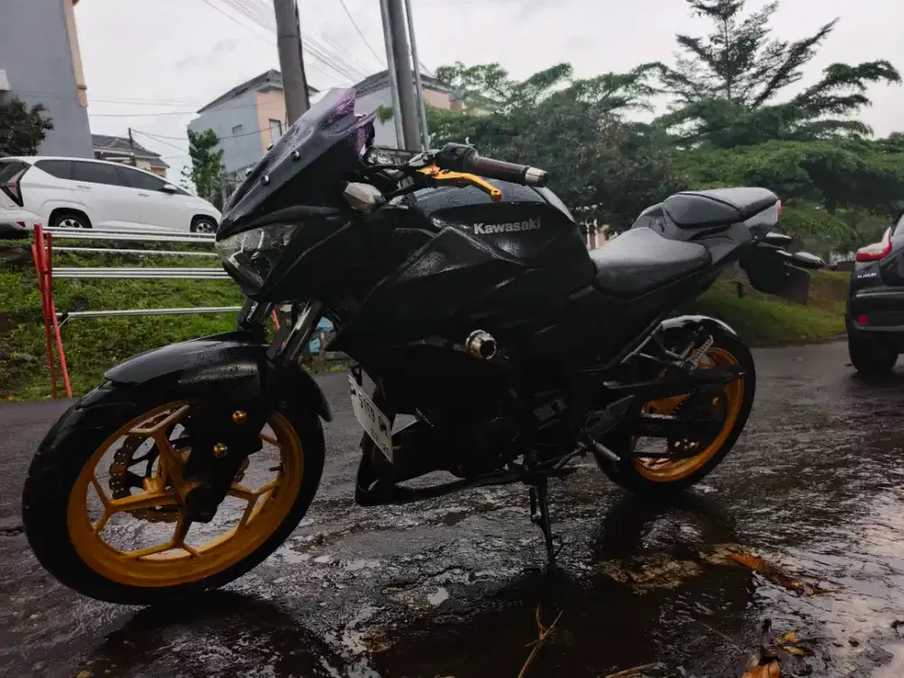 Kawasaki ninja z250 2 silinder