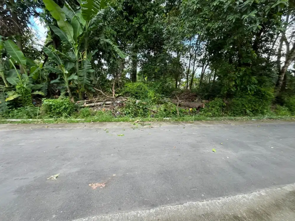10 Menit Prambanan! Tanah SHM Kalasan Sleman – Dekat Tol Solo–Jogja & Bandara Adisutjipto Yogyakarta