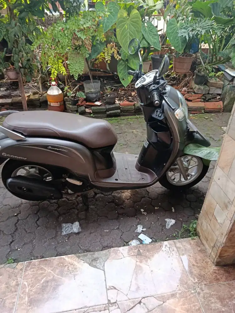 Honda Scoopy 2014