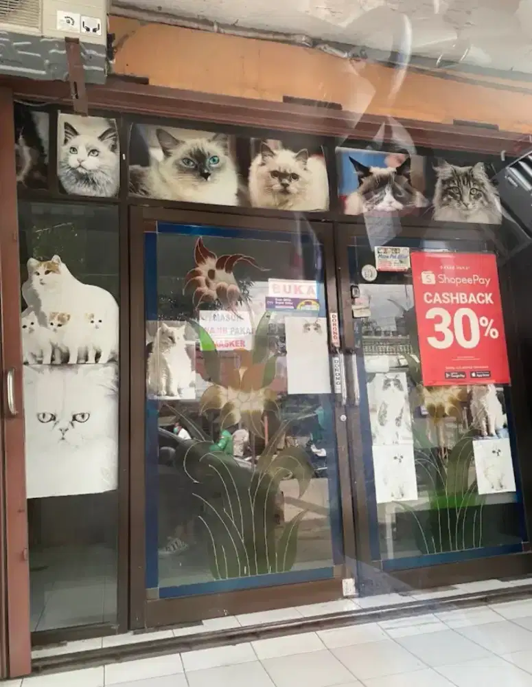 Lowongan kerja meow petshop