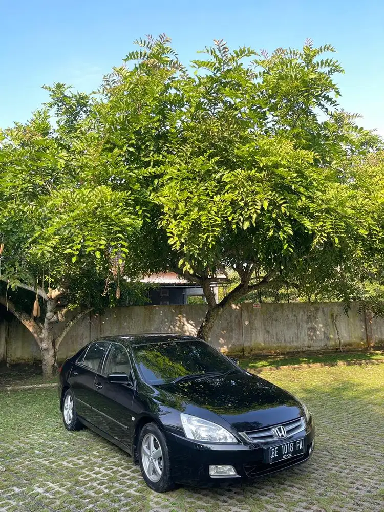Honda accord simpanan