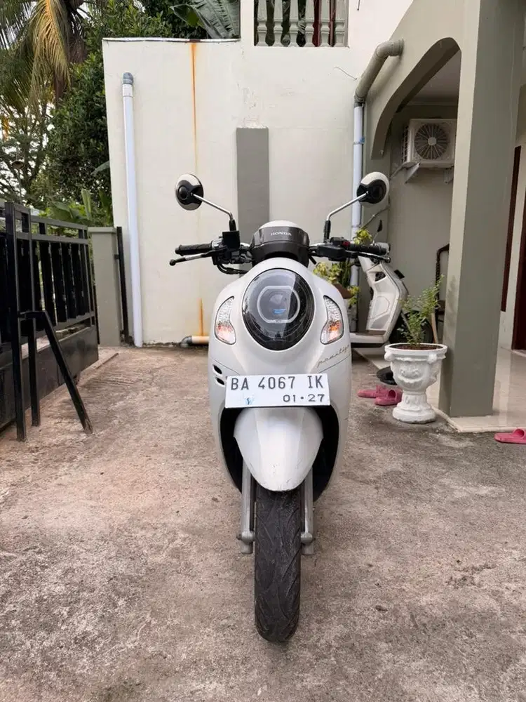 Scoopy white abs 2022