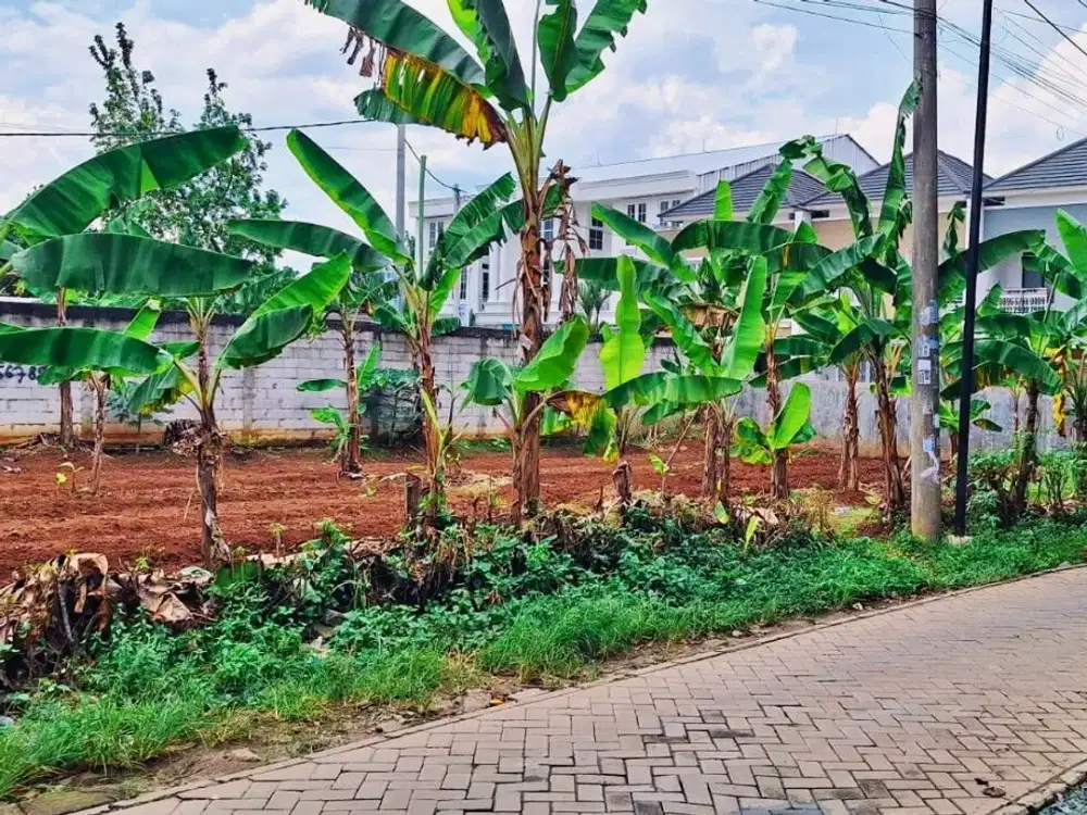 Tanah Murah Strategis Dekat Stasiun Rawa buntu, SHM