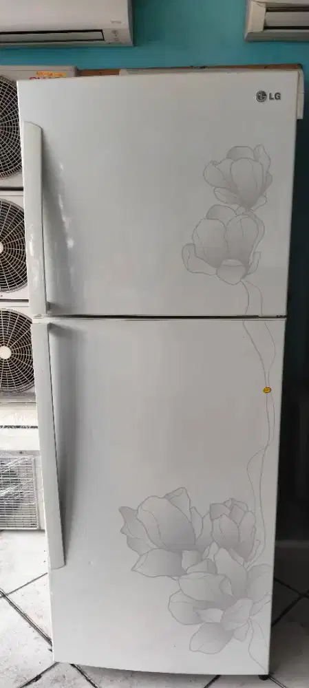 Kulkas LG 2 pintu Jumbo