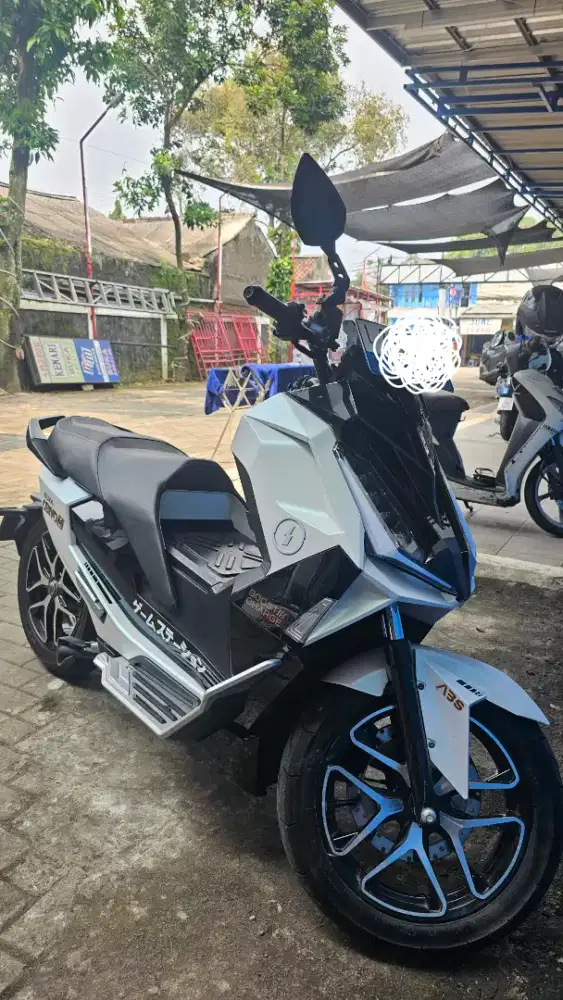 ALVA CERVO Q 2024