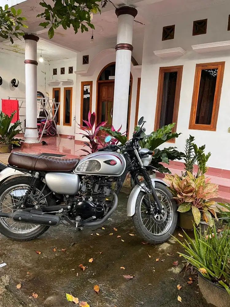 Kawasaki w175 SE