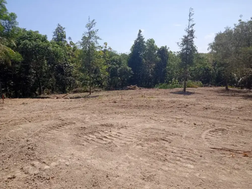 Hanya 50 Jt, miliki tanah SHM Pekarangan langsung siap AJB balik nama