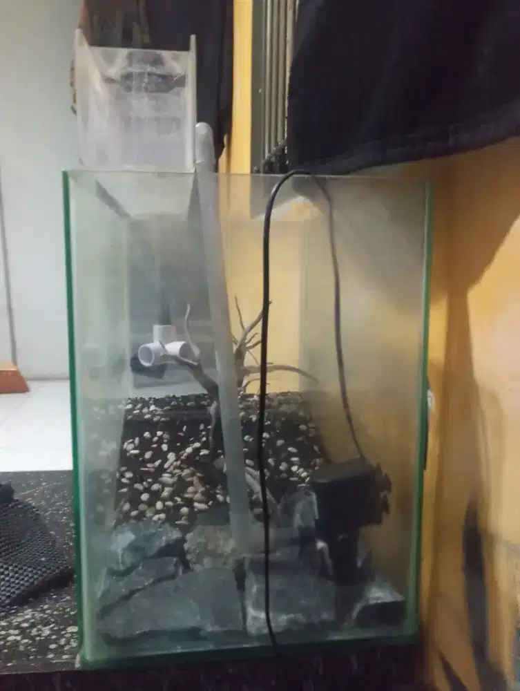 Jual aquarium T 50cm L 30c P 50cm