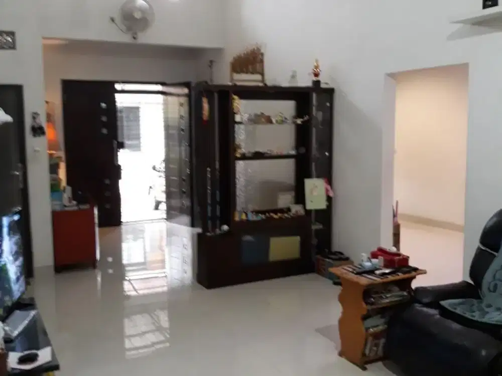 Rumah Alam Sutera - Sutera Delima