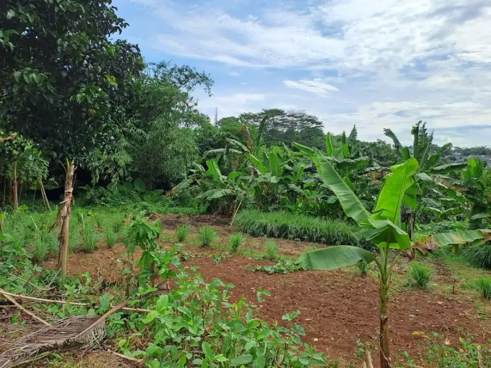 Dijual Lahan Sangat Strategis di Pamulang 2, Pamulang, Tangsel dijual murah dibawah pasaran