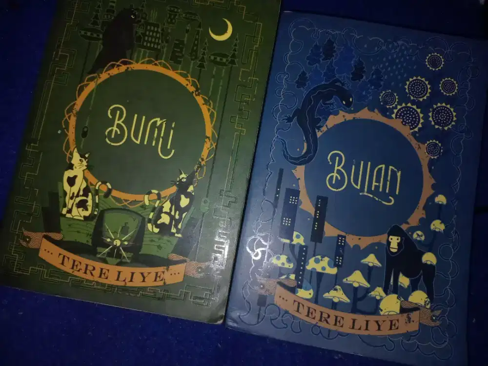 Novel Bumi series tere liye