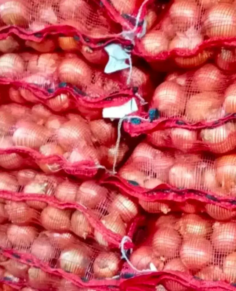 Bawang Bombay & Bawang Putih