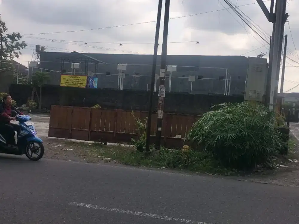Tanah pinggir jalan aspal istimewa