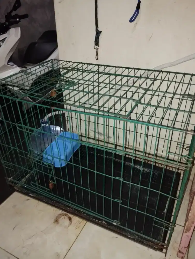 Kandang peliharaan