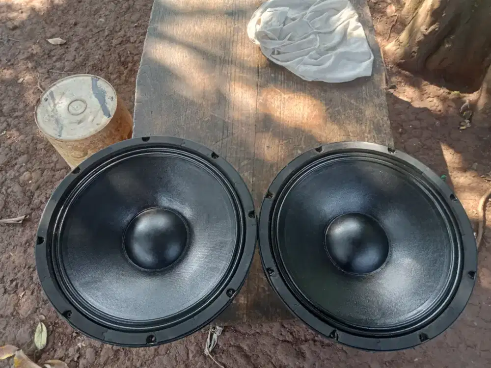 Speaker Black spider 1575