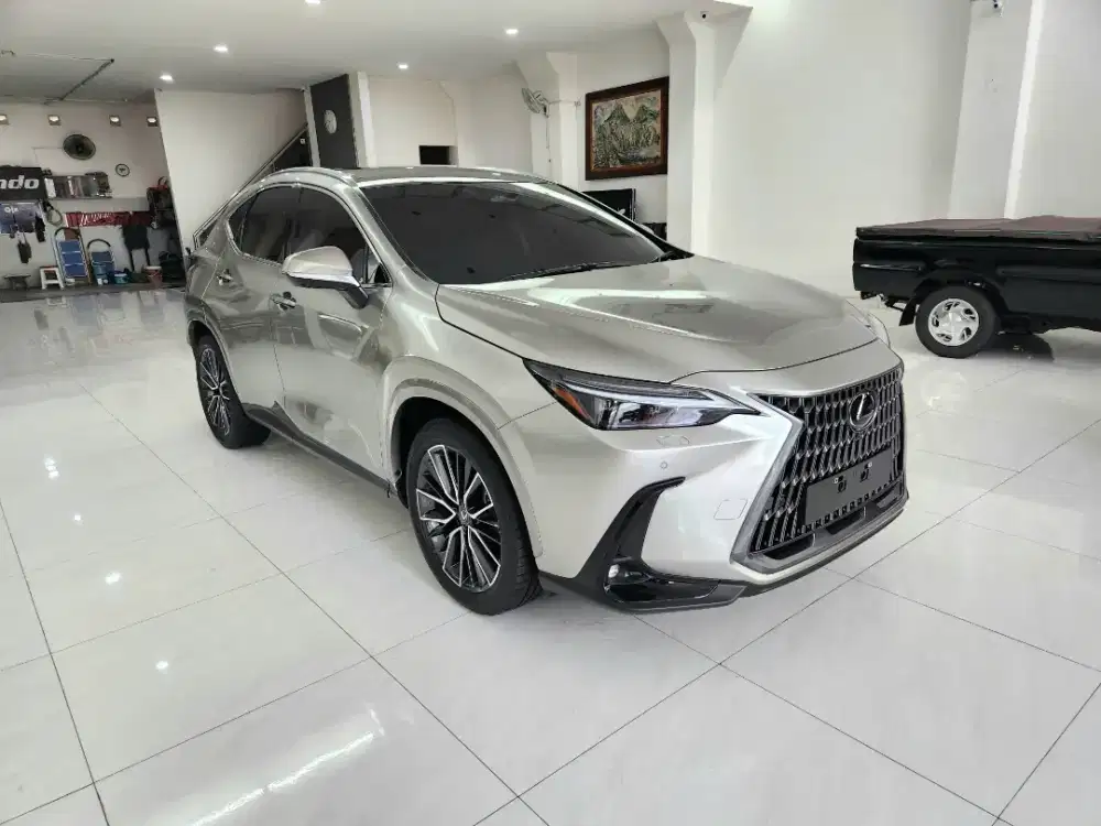 Lexus NX350h Luxury ATPM 2025 km800 perak