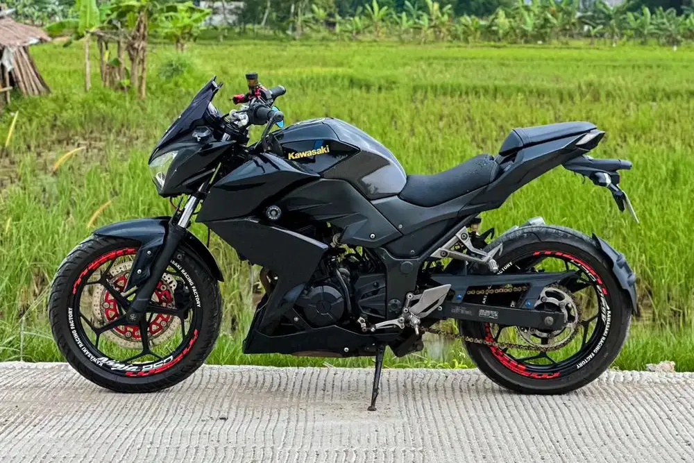 Dijual Cepat! Ninja Z250 2013
