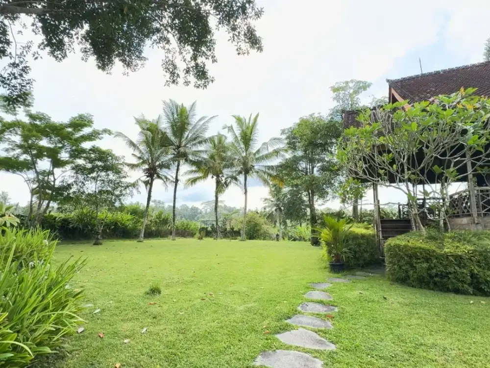 Jual Tanah Bonus Rumah di Tegallalang Ubud - Thumbnail 4