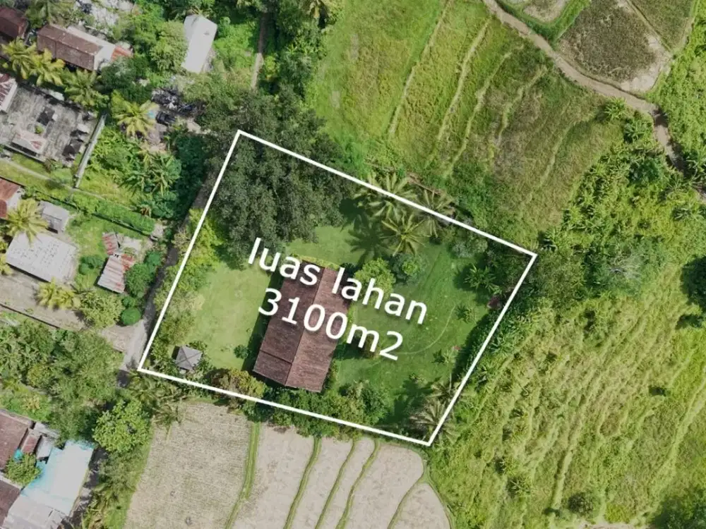 Jual Tanah Bonus Rumah di Tegallalang Ubud