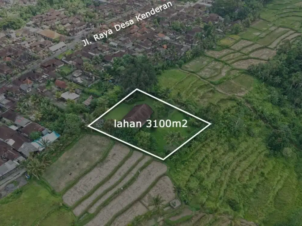 Jual Tanah Bonus Rumah di Tegallalang Ubud - Thumbnail 2
