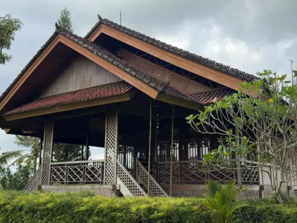 Jual Tanah Bonus Rumah di Tegallalang Ubud - Thumbnail 3