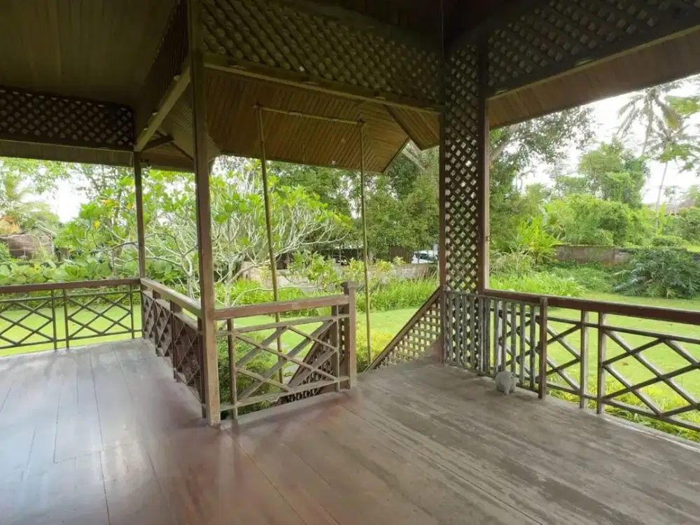 Jual Tanah Bonus Rumah di Tegallalang Ubud - Thumbnail 7