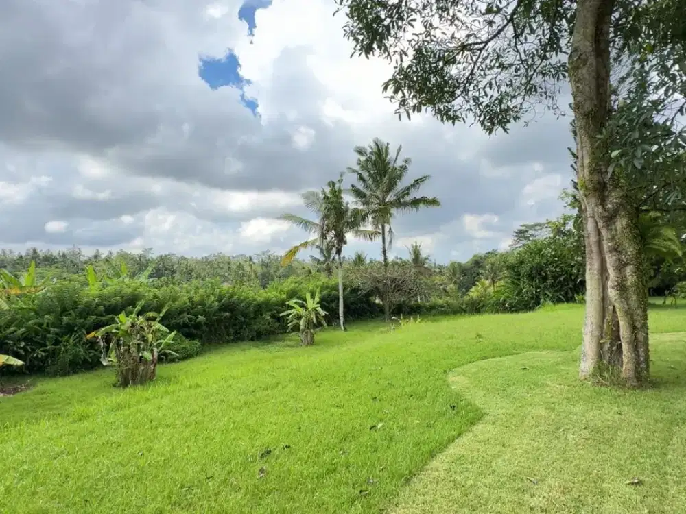 Jual Tanah Bonus Rumah di Tegallalang Ubud - Thumbnail 6