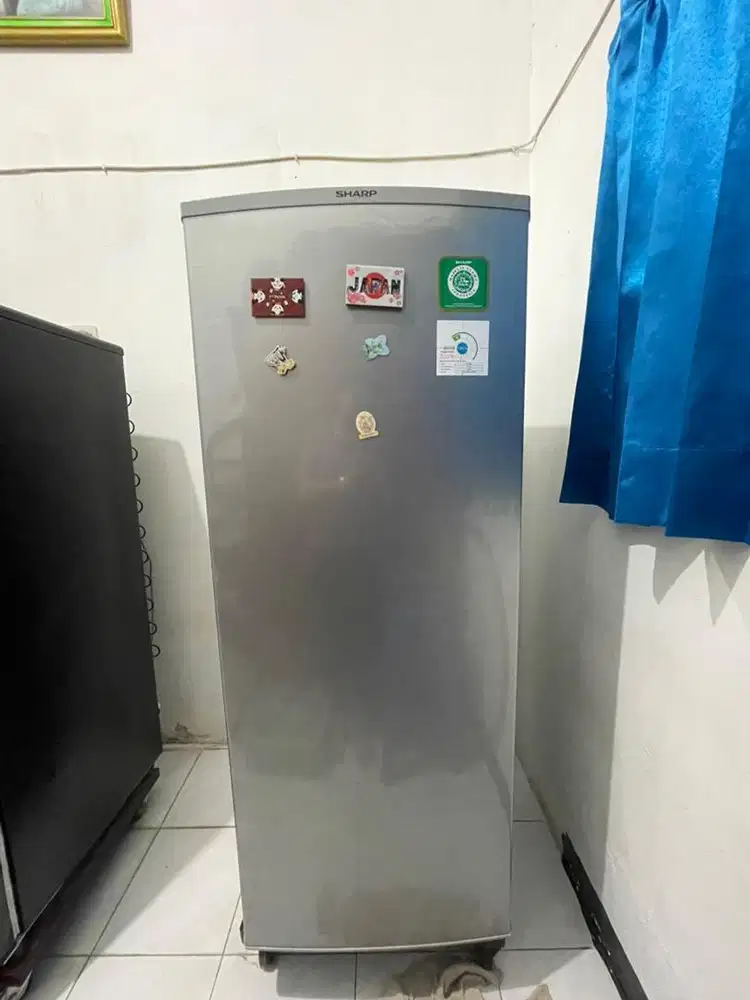 Freezer Sharp FJM195N