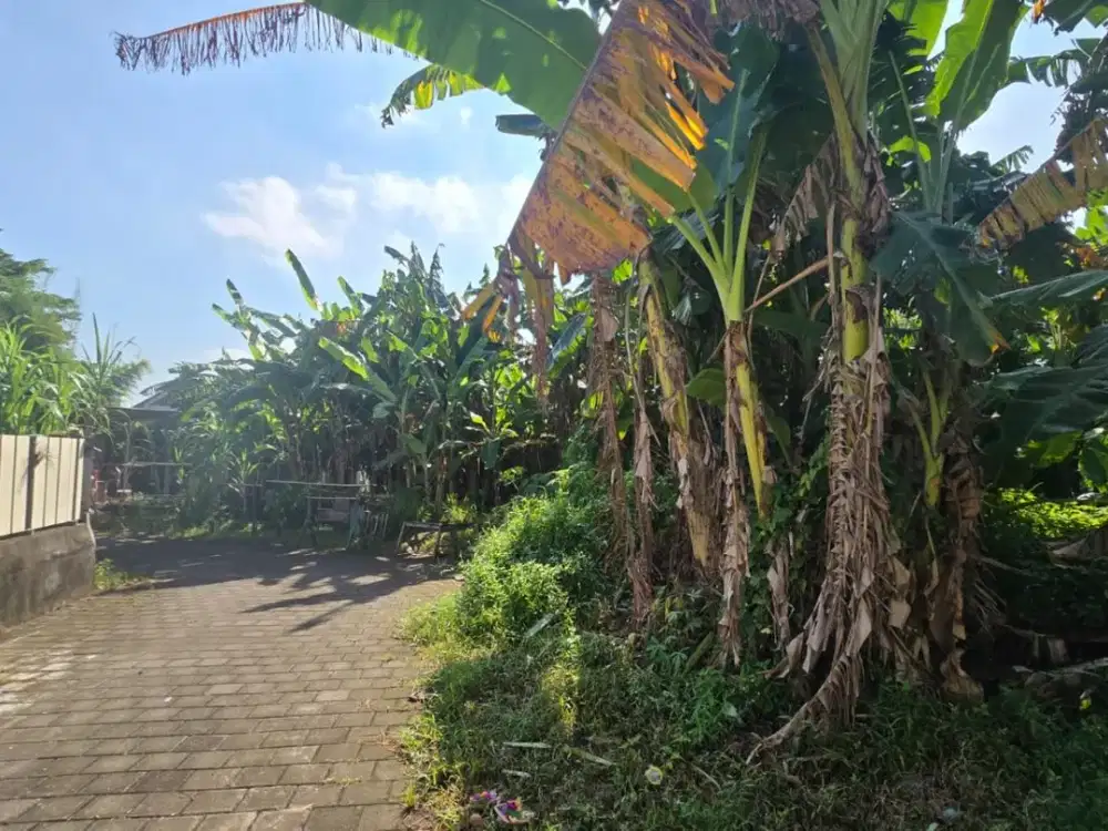 TANAH LANGKA DI KAWASAN PREMIUM PANTAI NYANYI