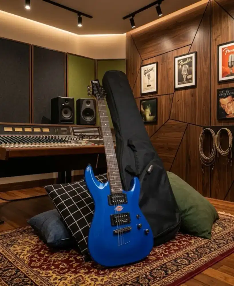 Gitar schecter C-1 SGR Original istimewa