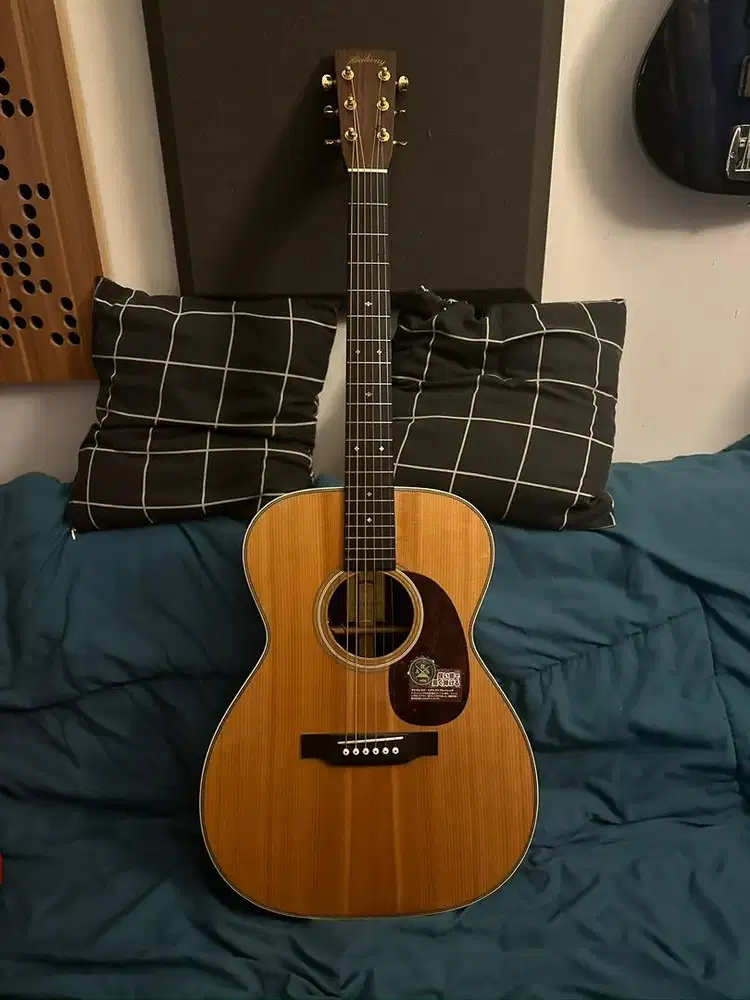 Headway Guitar HF-415 ARS/STD
