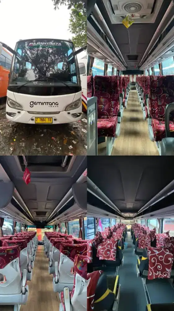 Jasa transportasi Bus pariwisata