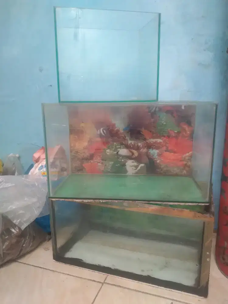 Aquarium second