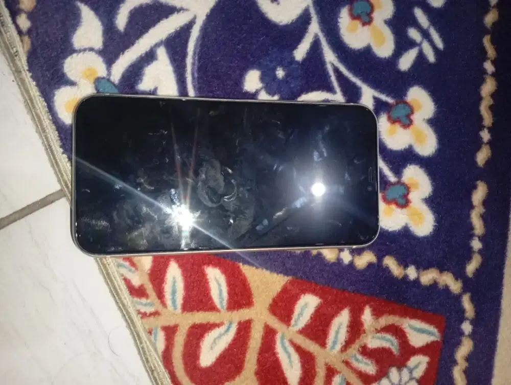 iPhone 11 inter
