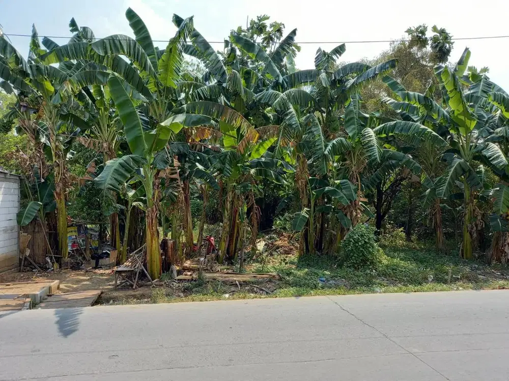 Tanah Pinggir Jalan Daerah Bekasi