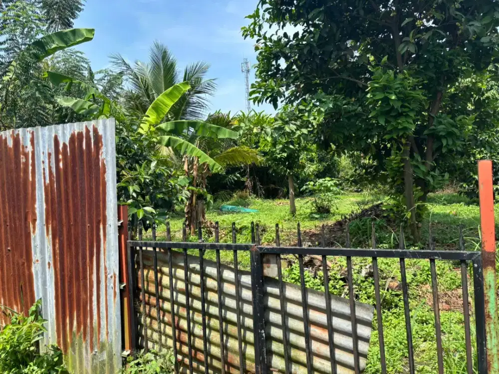 Dijual tanah luas 334 mtr surat shm