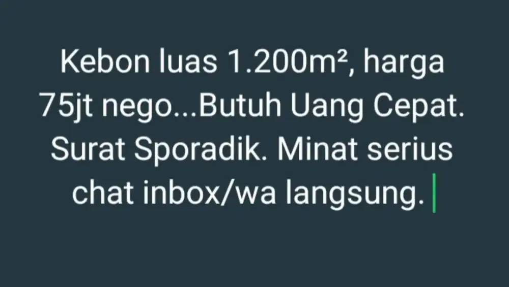 Kebon Murah Untuk Investasi