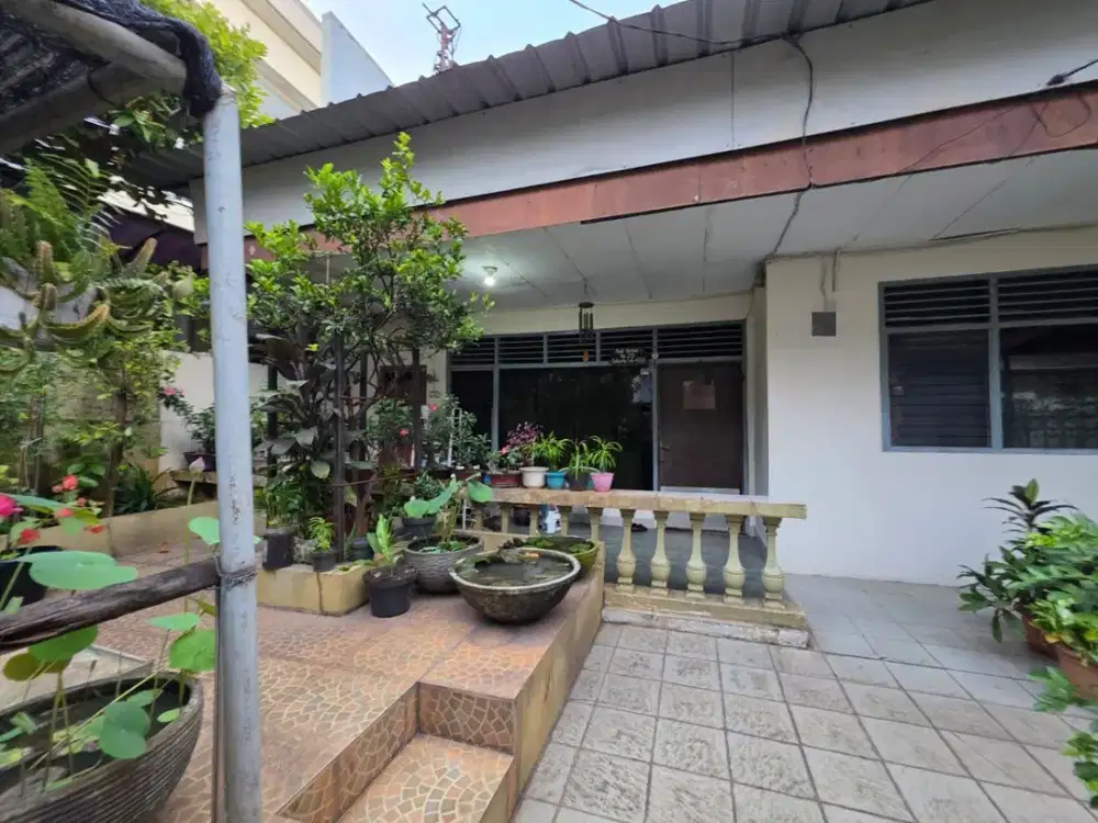 Dijual Rumah Pluit Permai, Rumah Tua Pluit Permai, Rumah Pluit Permai, Pluit Permai, Pluit, Pik