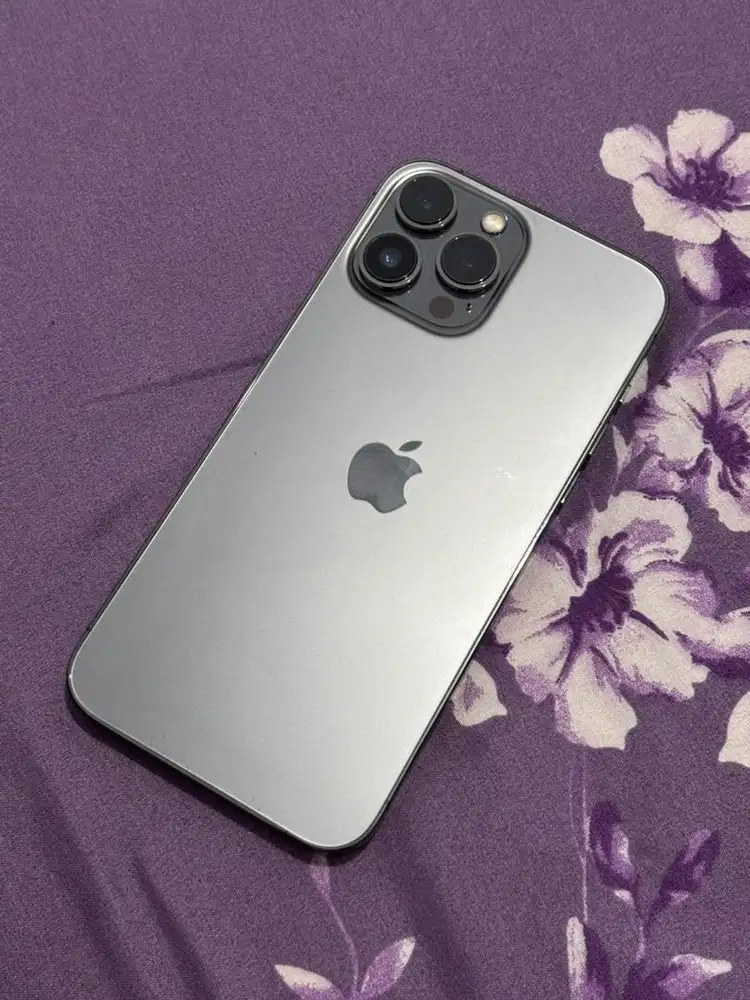 Iphone 13 pro max 256gb beacukai