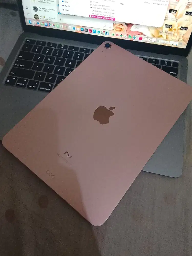WTS Ipad Air 4 (2022)