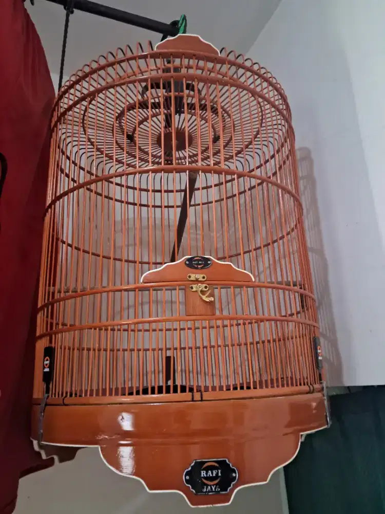 Kandang murai rafi jaya model baru
