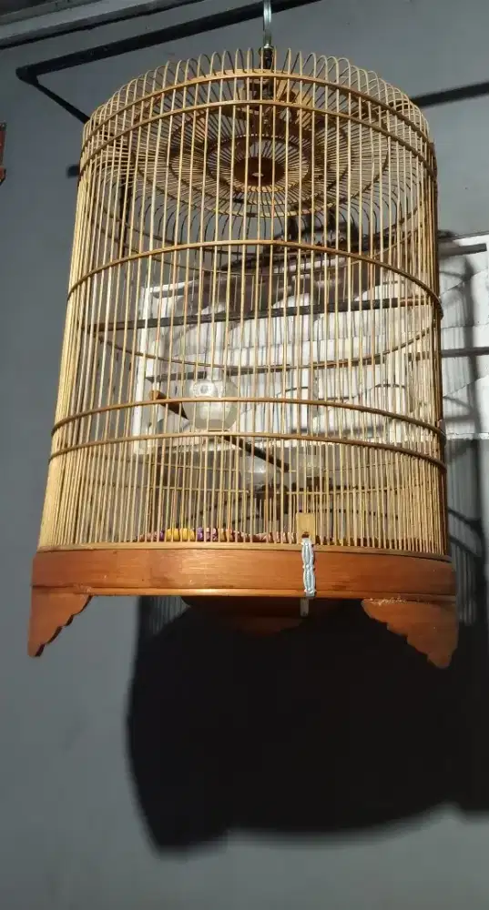 Kandang Burung Murai