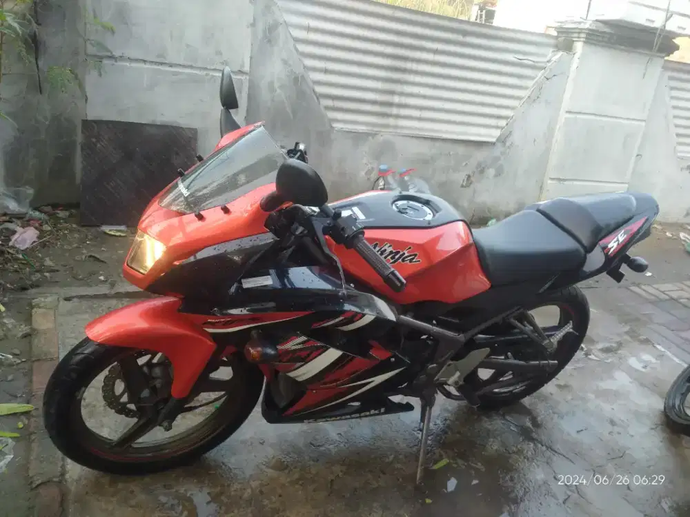 Kawasaki Ninja RR Special Edition 2013
