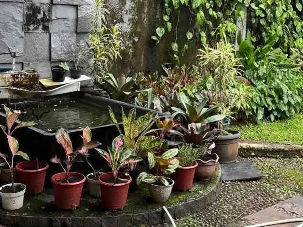 DiJual Rumah Giri Loka BSD Luas 300m harga segini sudah jarang – value utamanya di tanah!