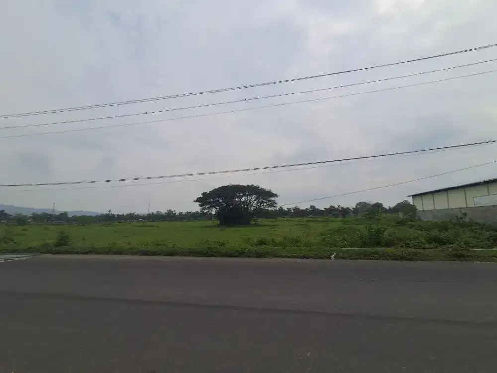 Tanah Pekarangan SHM Langsung Pemilik
