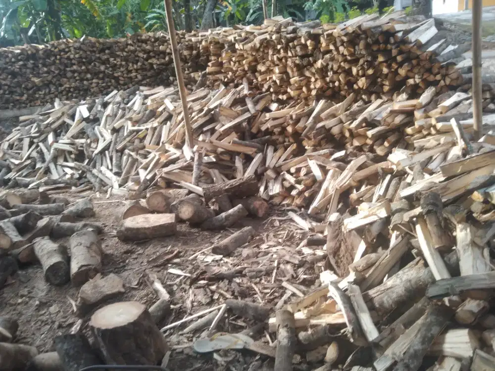 kayu karet bakar
