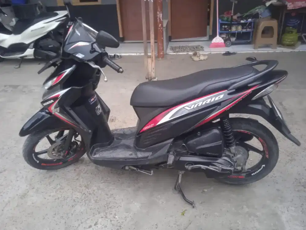 Vario 110 Agnes 2014