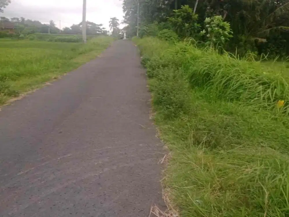 Dijual Tanah Luas di Tirtoadi Mlati Sleman